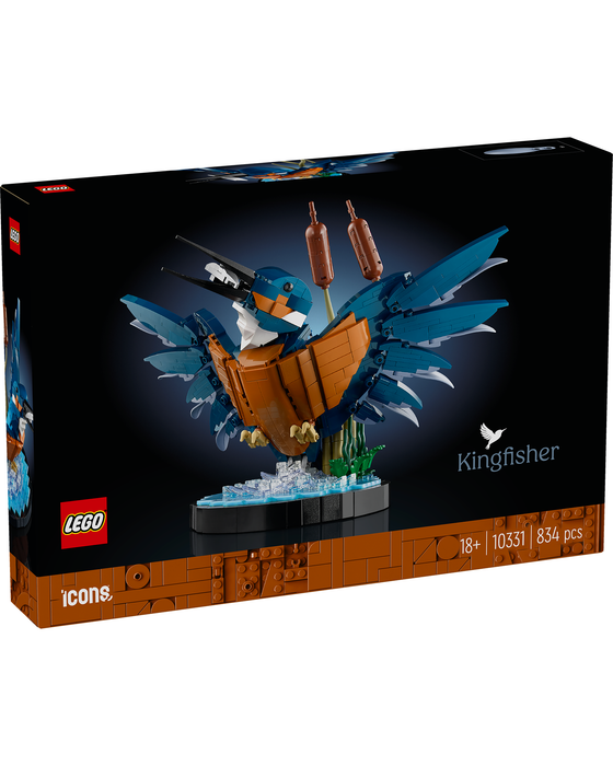 10331 Kingfisher Bird