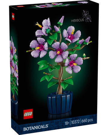 10372 Hibiscus