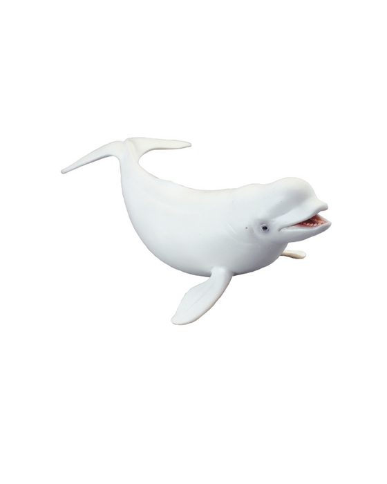Collecta Beluga Whale Large