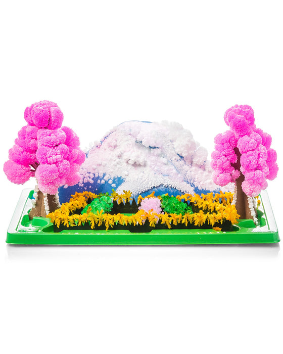 Fizz Fun Magic Growing Garden