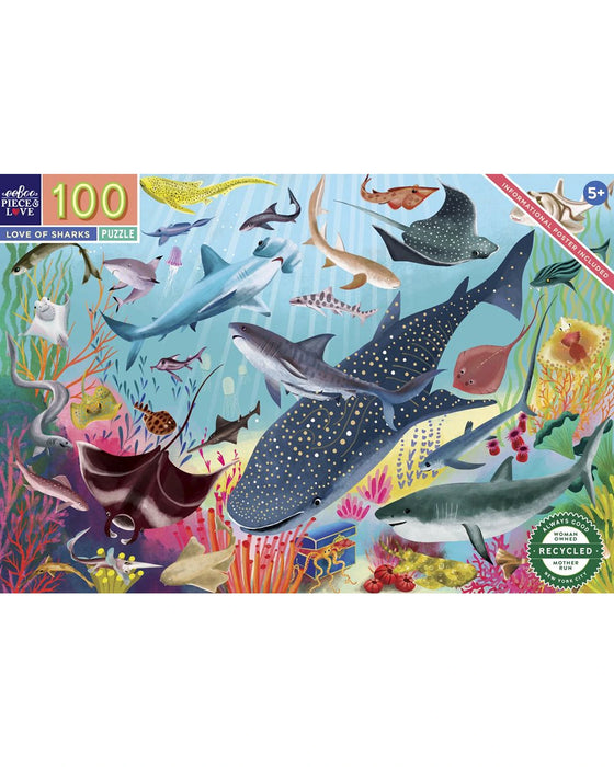 eeBoo 100PC Puzzle Love of Sharks