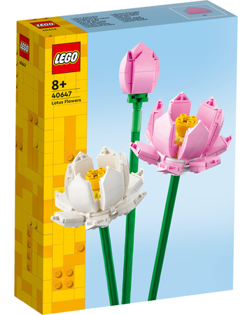 40647 Lotus Flowers