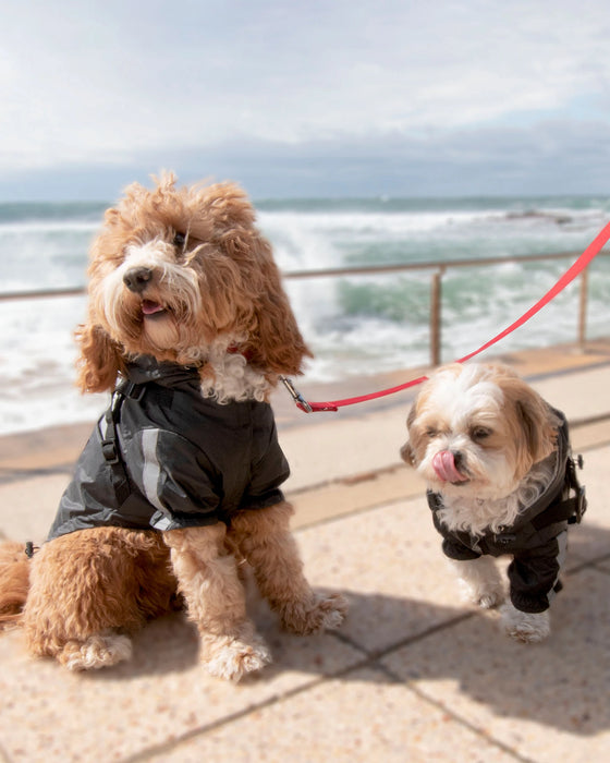 Louie Living Black Raincoat Small