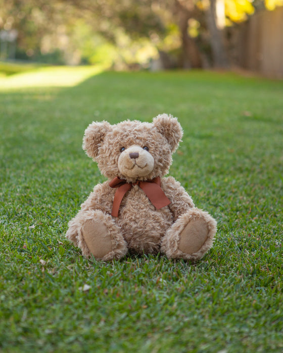 Animal Allsorts Taylor Large Bear