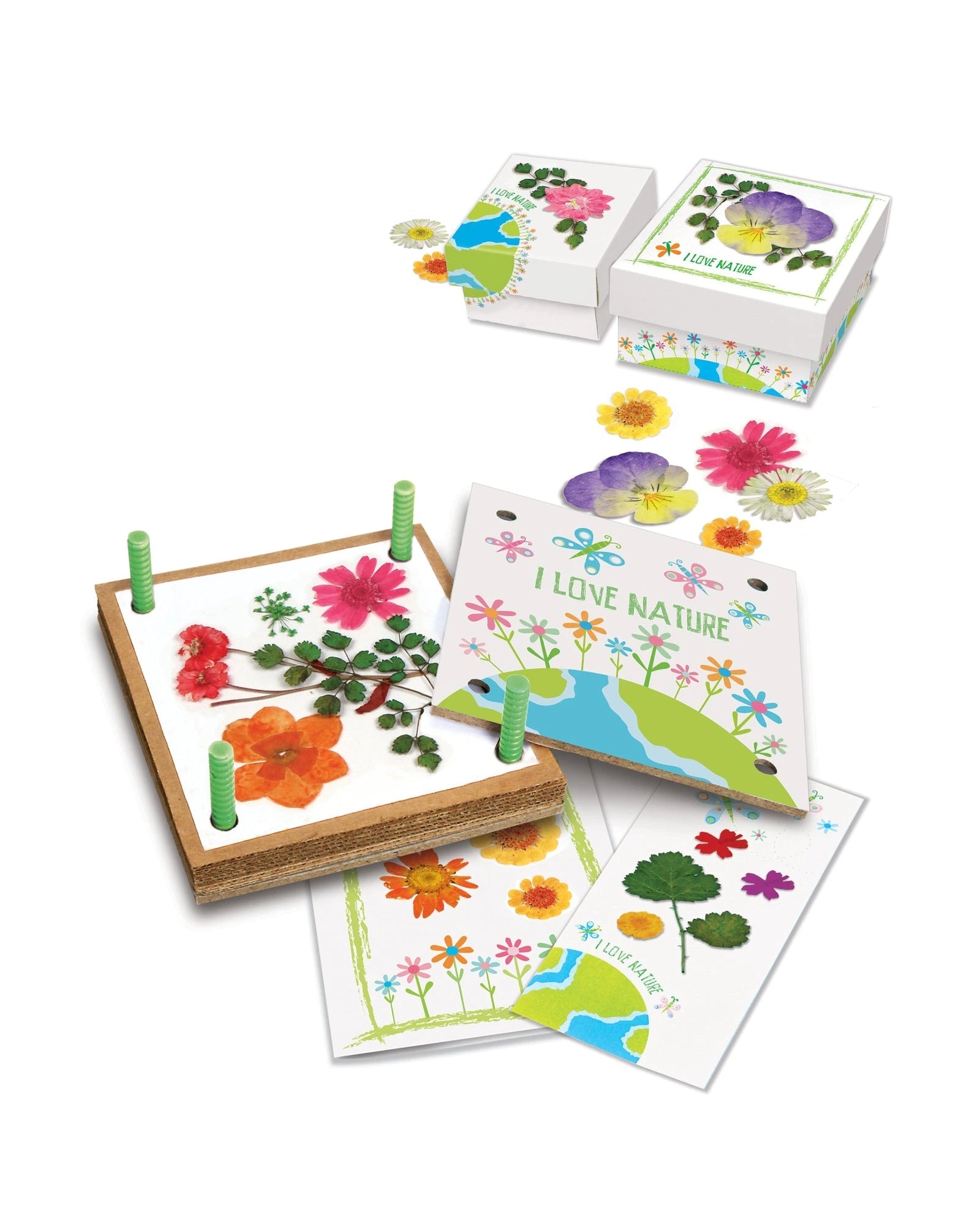 Green Science Pressed Flower Art