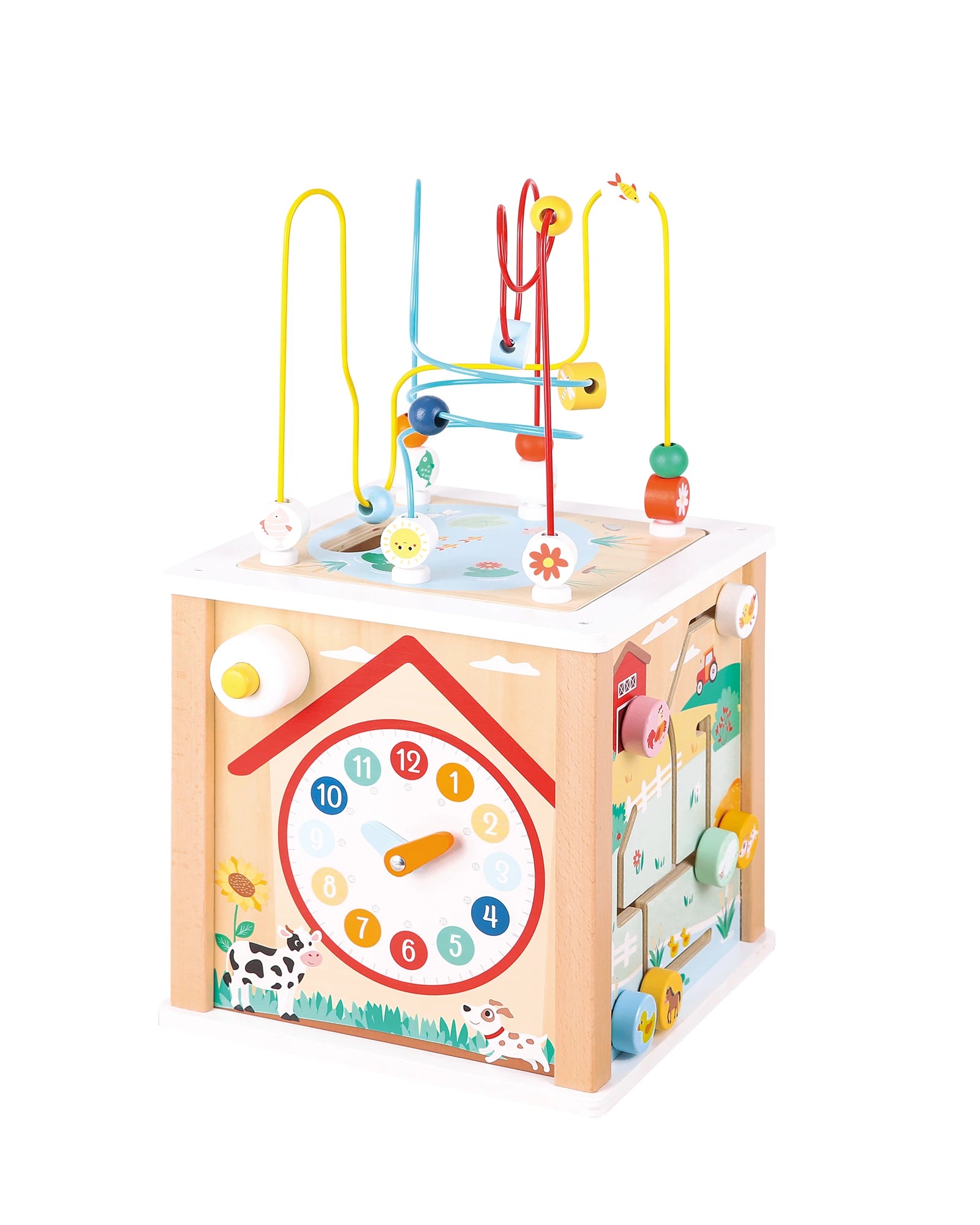 Farm Activity Cube