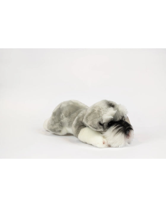Animal Allsorts Schubert Schnauzer Large