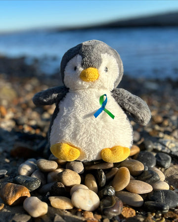 CTF-Penguin