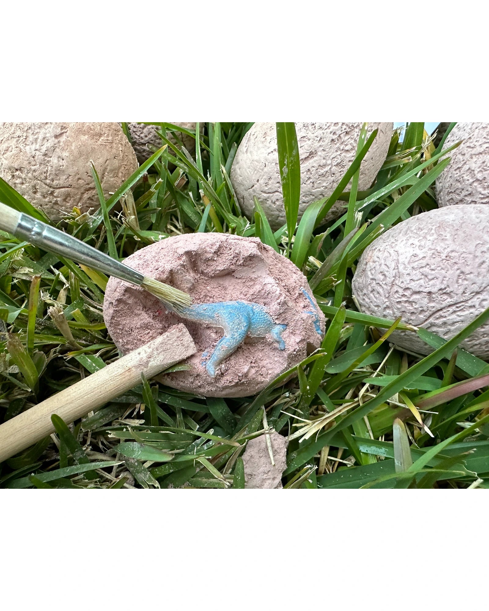 Dig & Discover Dinosaur Eggs