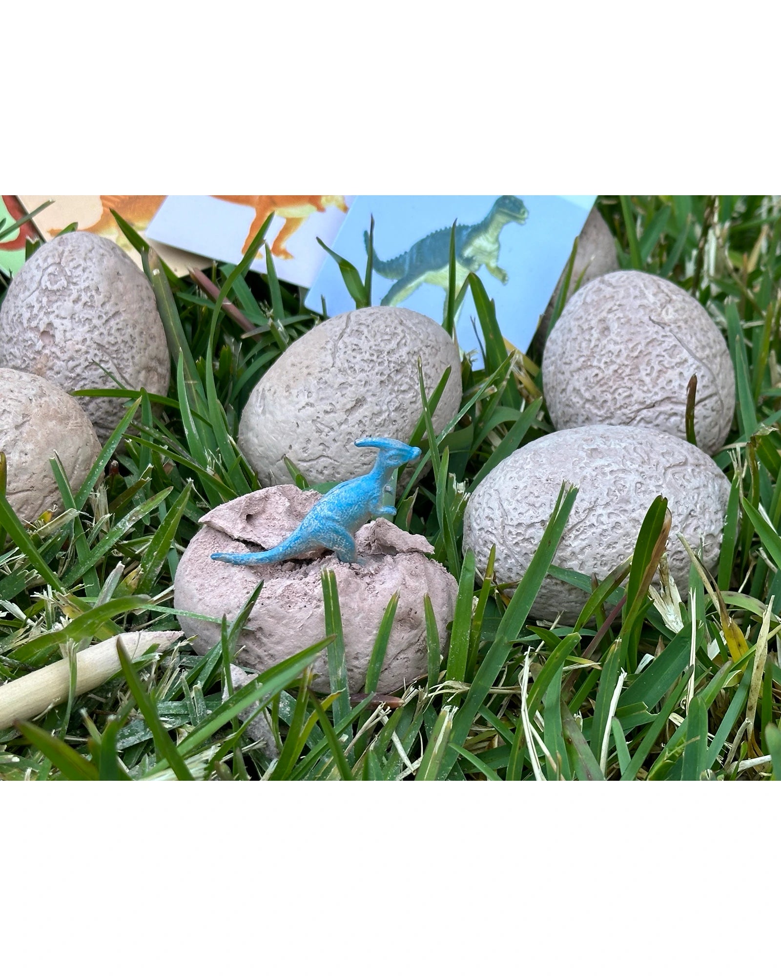 Dig & Discover Dinosaur Eggs