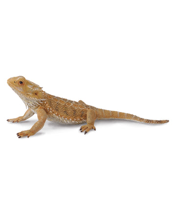 CollectA L Bearded Dragon Lizard