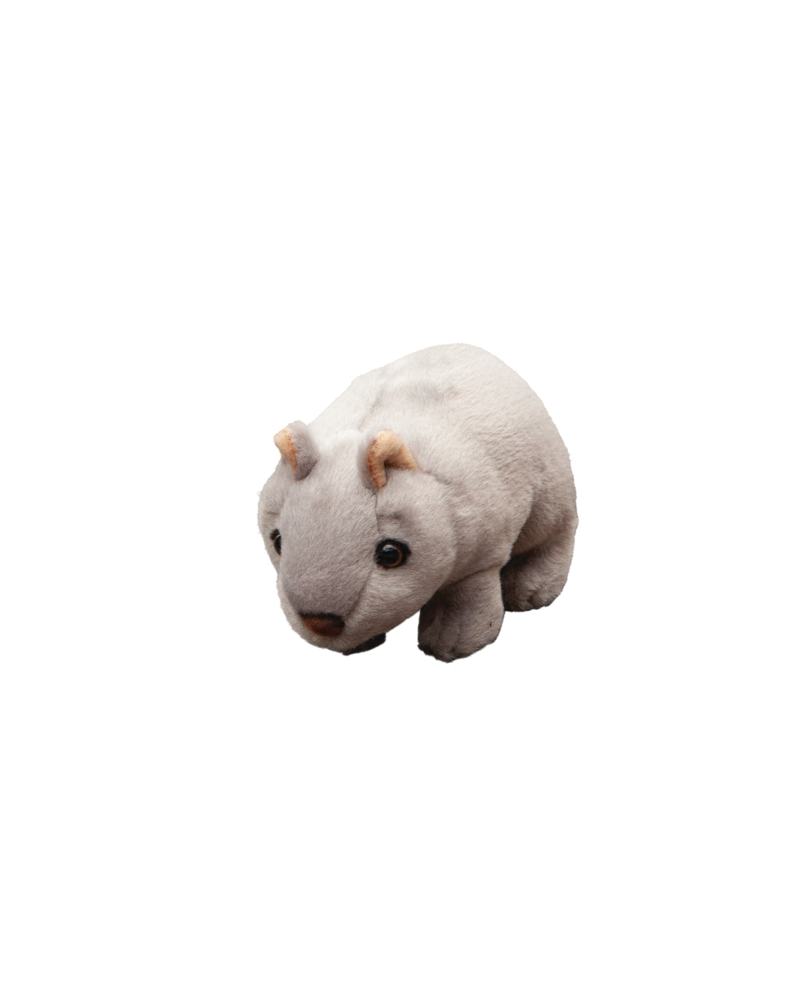 Wally the Wombat Small – Kidstuff