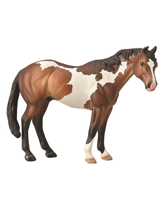 CollectA XL Apoaloose Stallion Bay