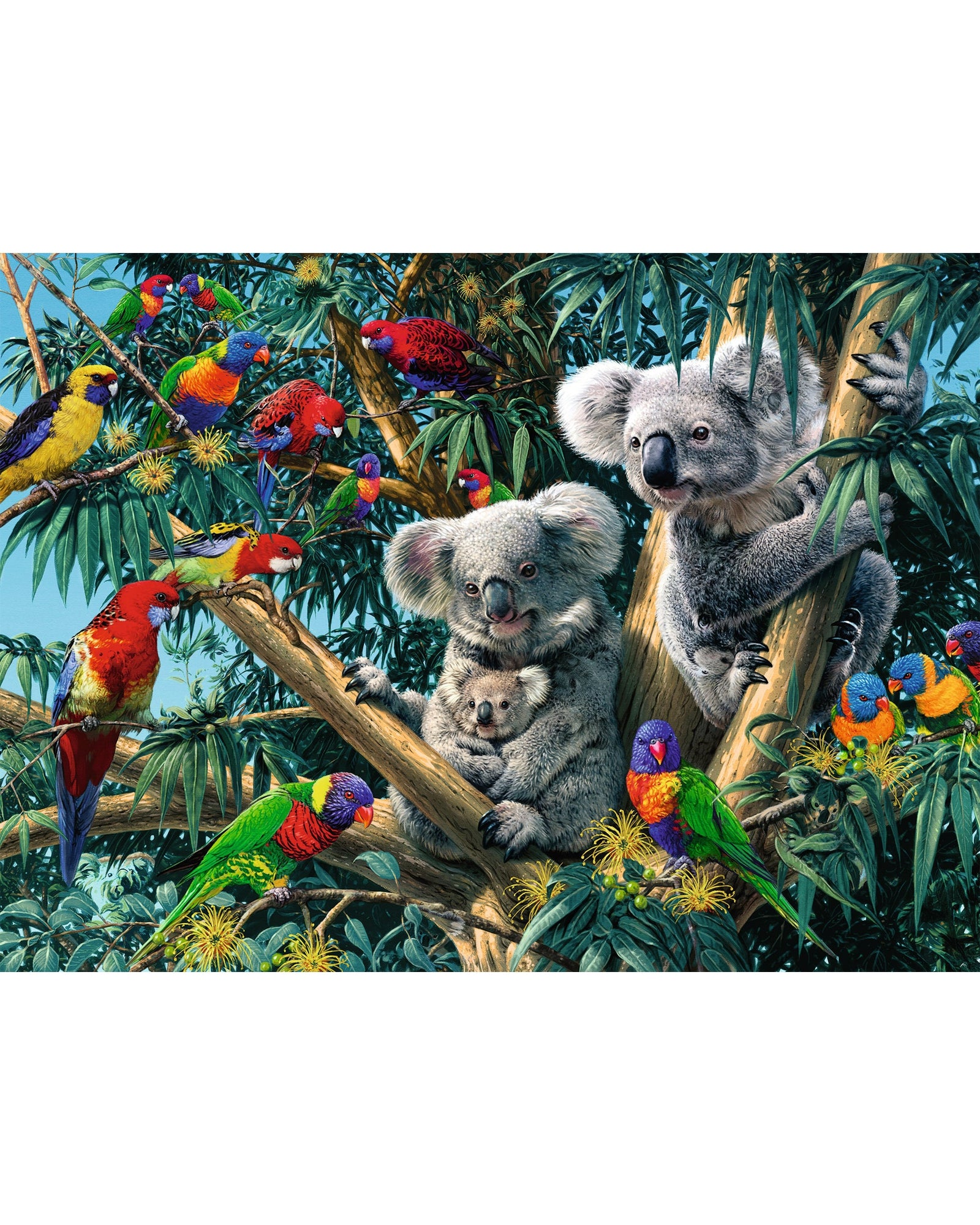 Ravensburger Puzzle 500PC Koalas In A Tree