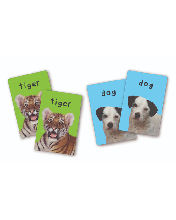 First 100 Animals Matching Card Game