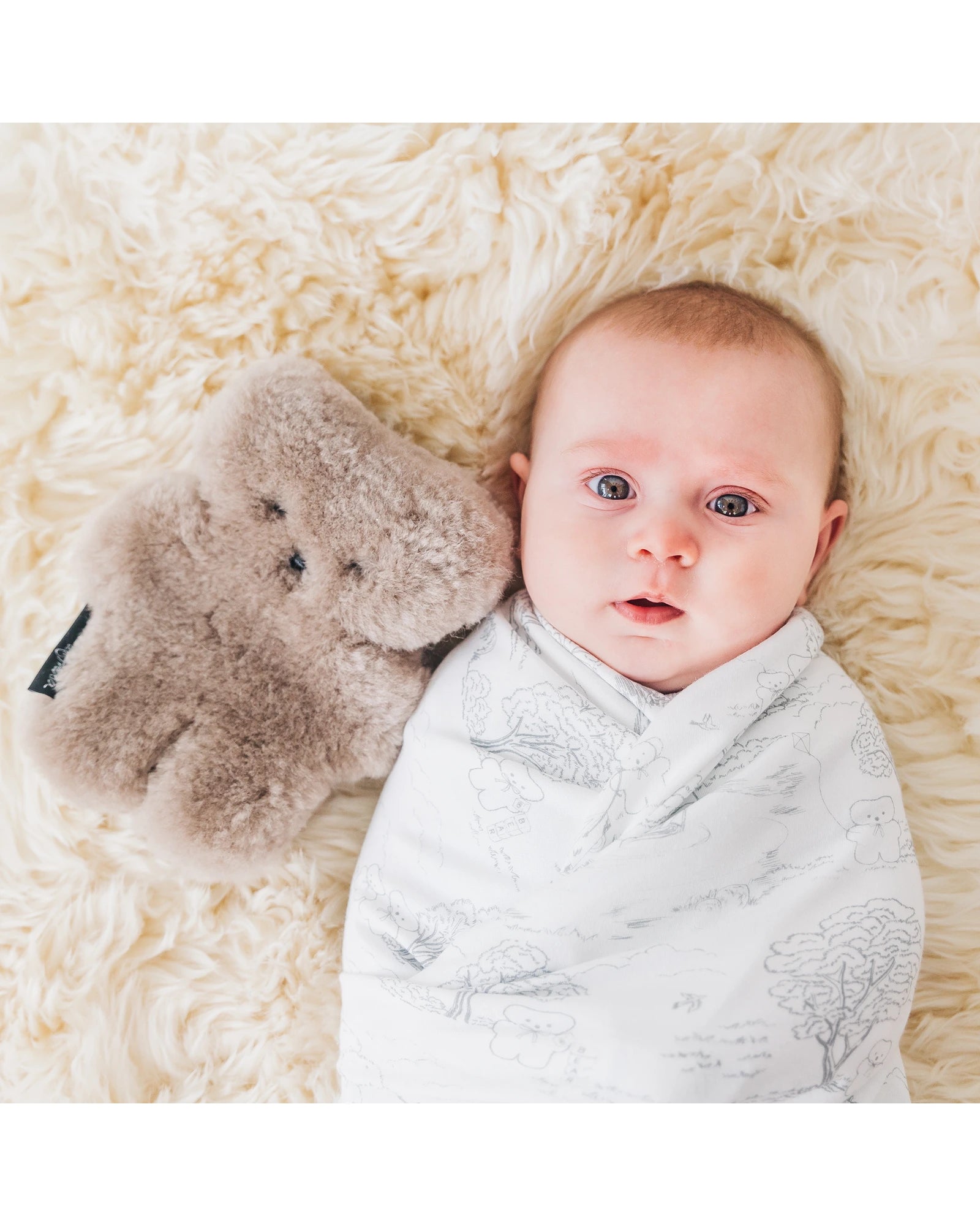 FLATOUTbear Baby Chocolate