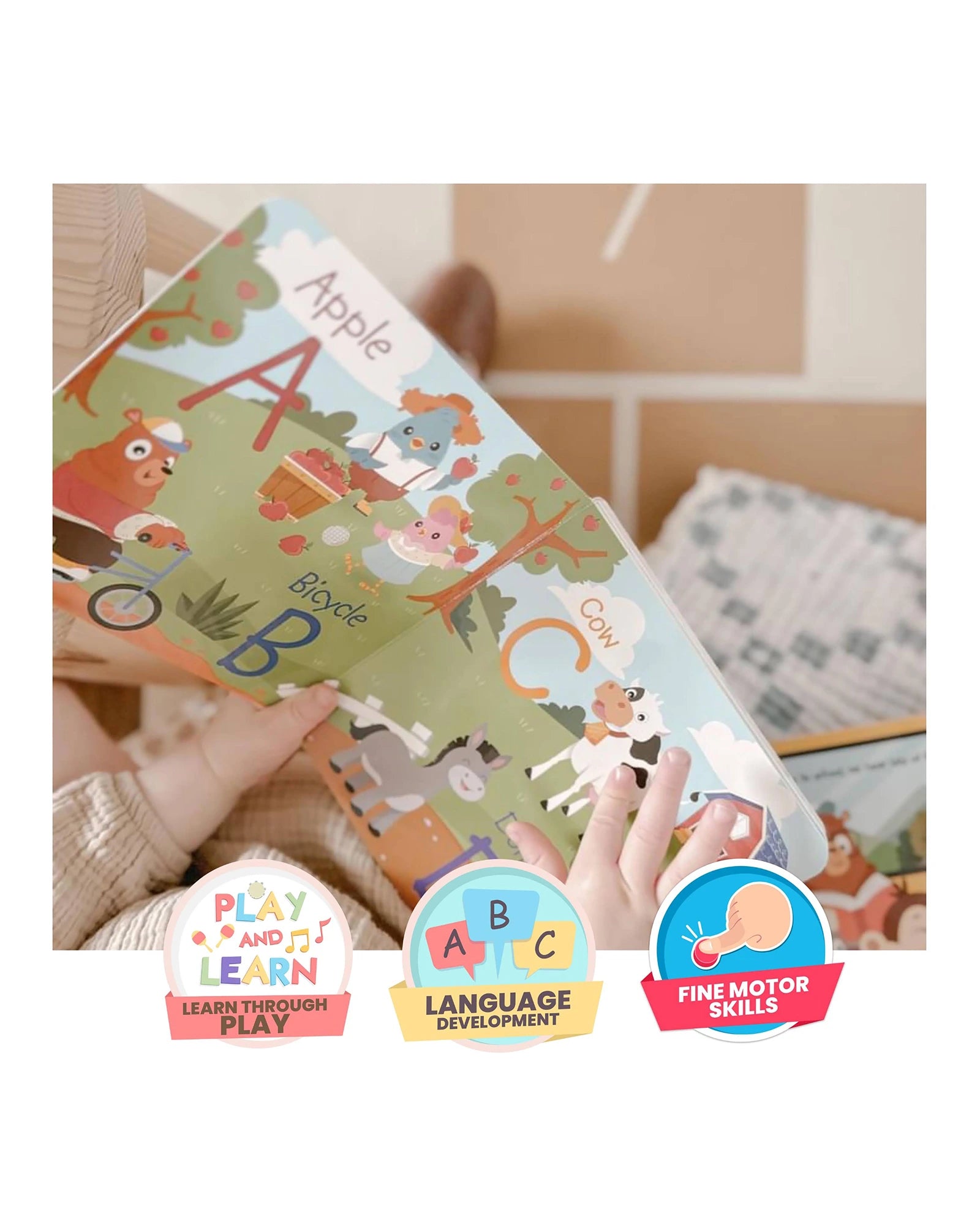 Fun Alphabet Board Book