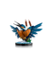 10331 Kingfisher Bird