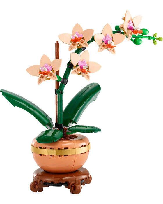 10343 Mini Orchid