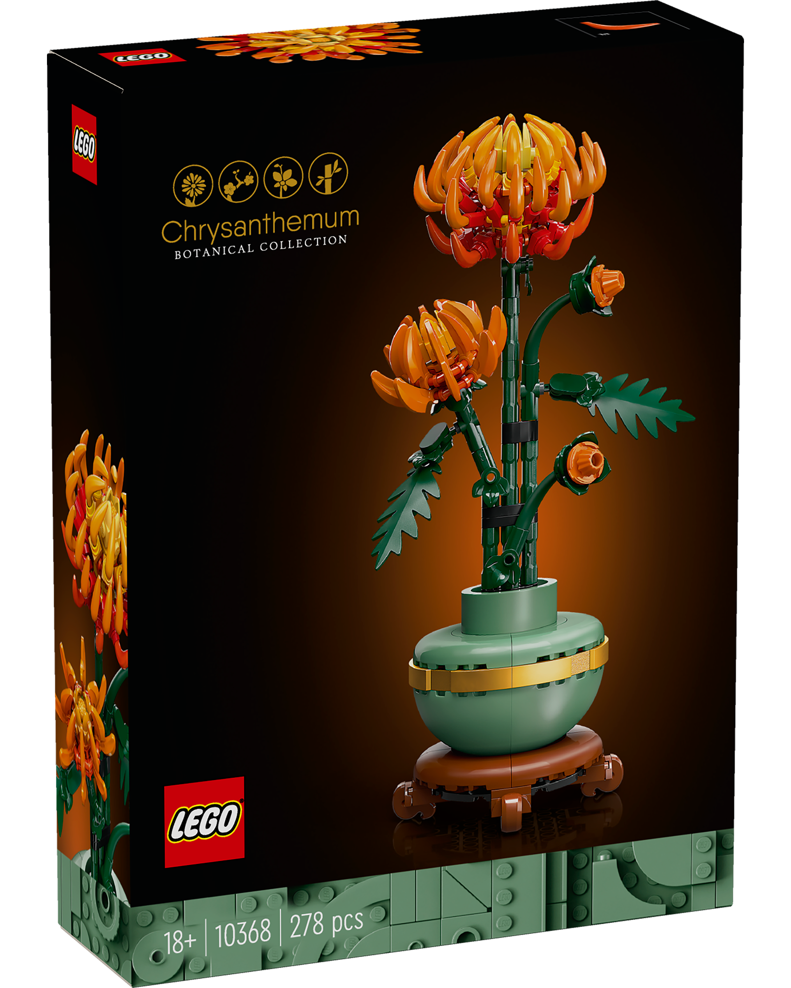 10368 Chrysanthemum