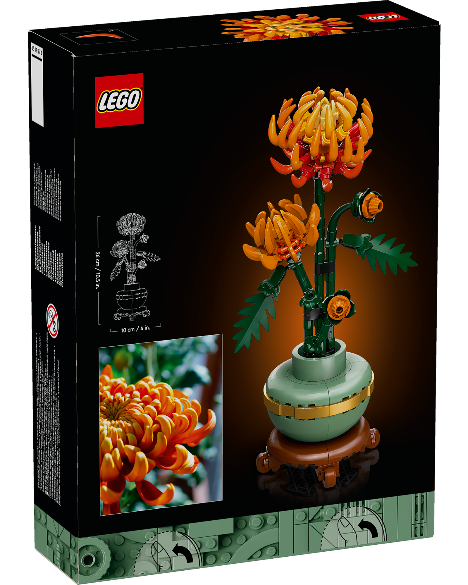 10368 Chrysanthemum