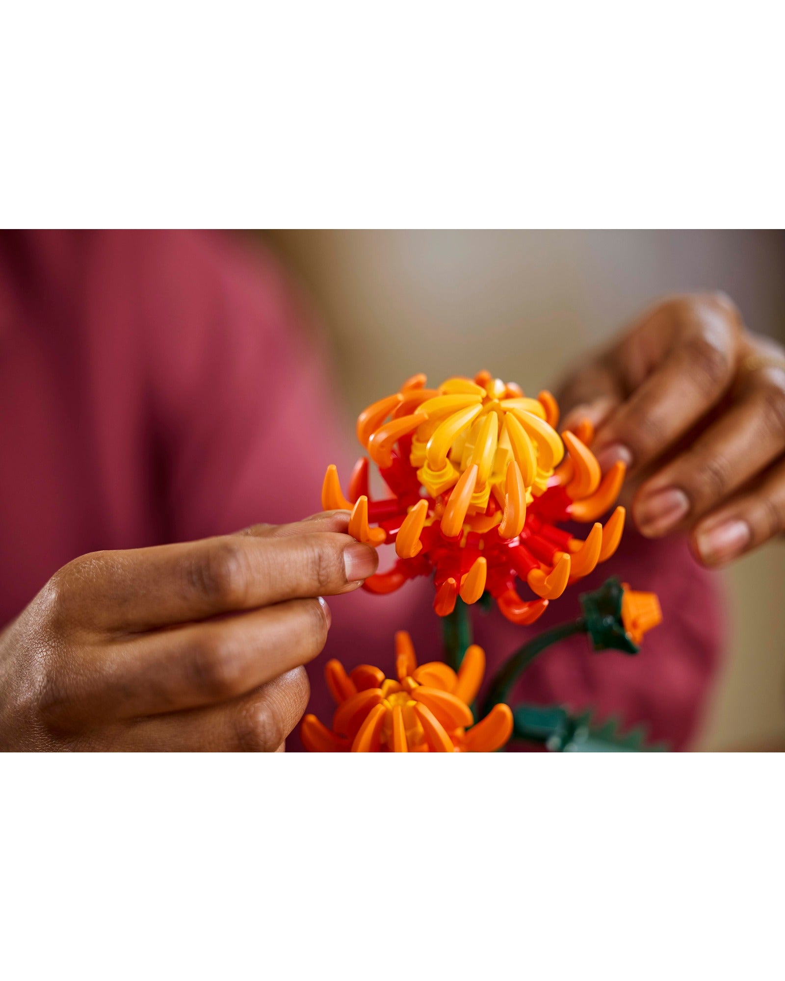 10368 Chrysanthemum