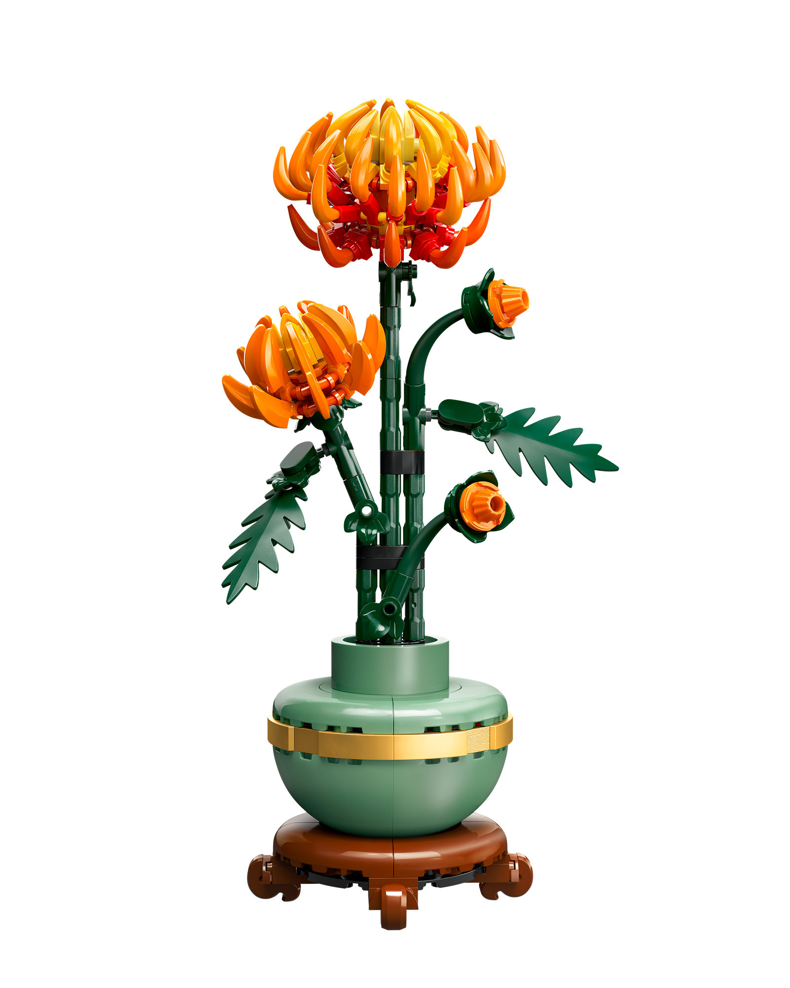 10368 Chrysanthemum