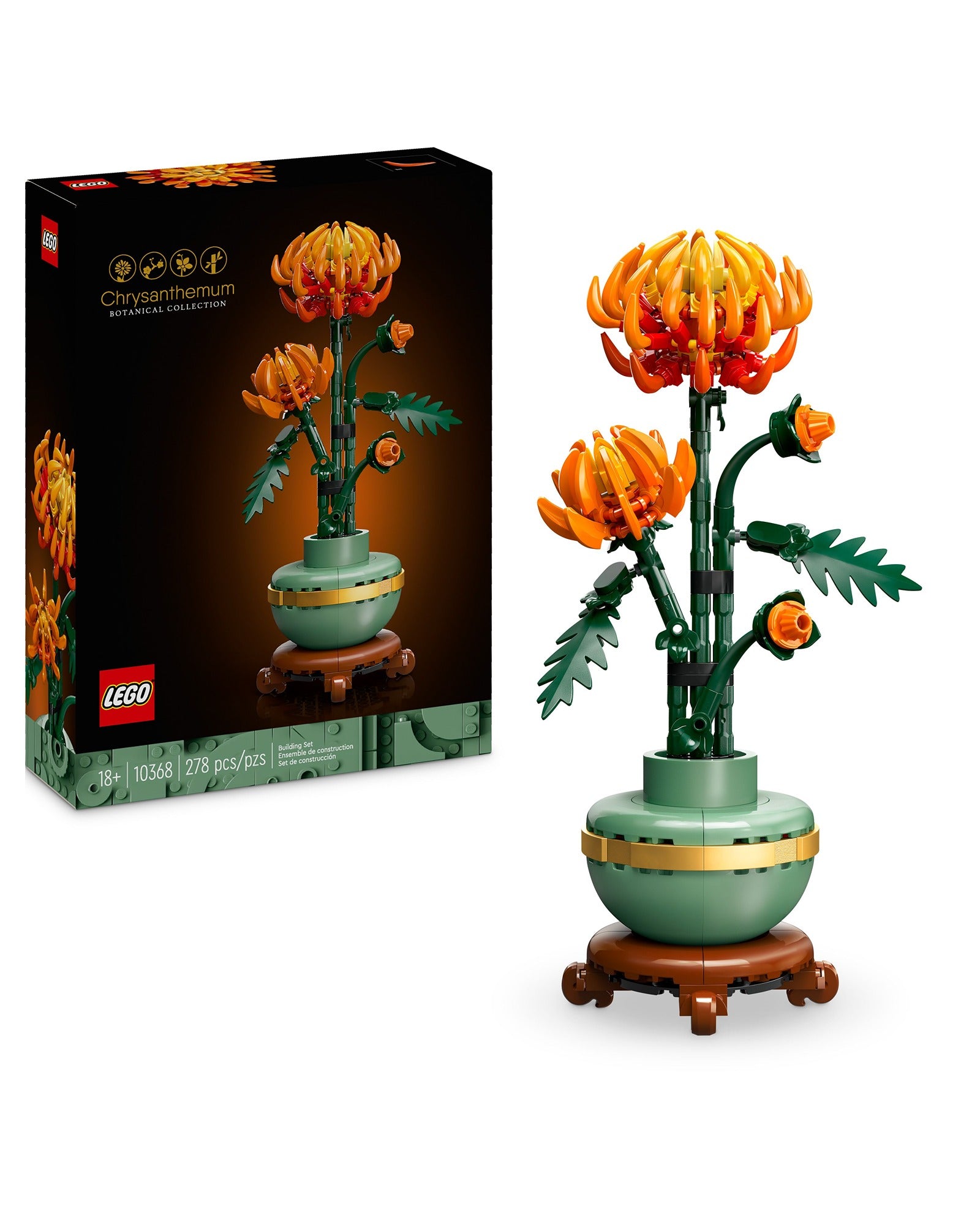 10368 Chrysanthemum
