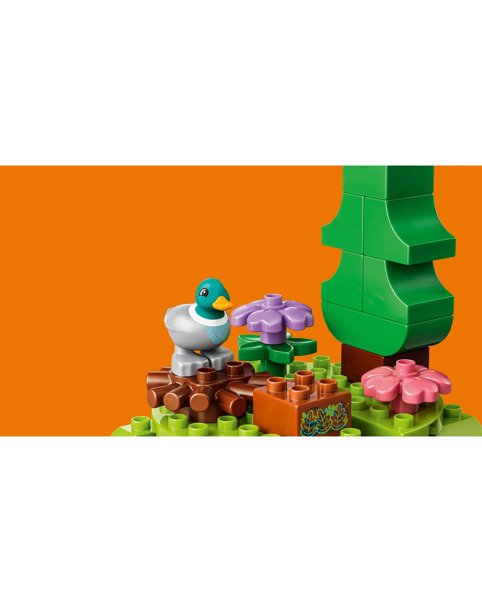 10480 Discovery Forest with Wild Animals