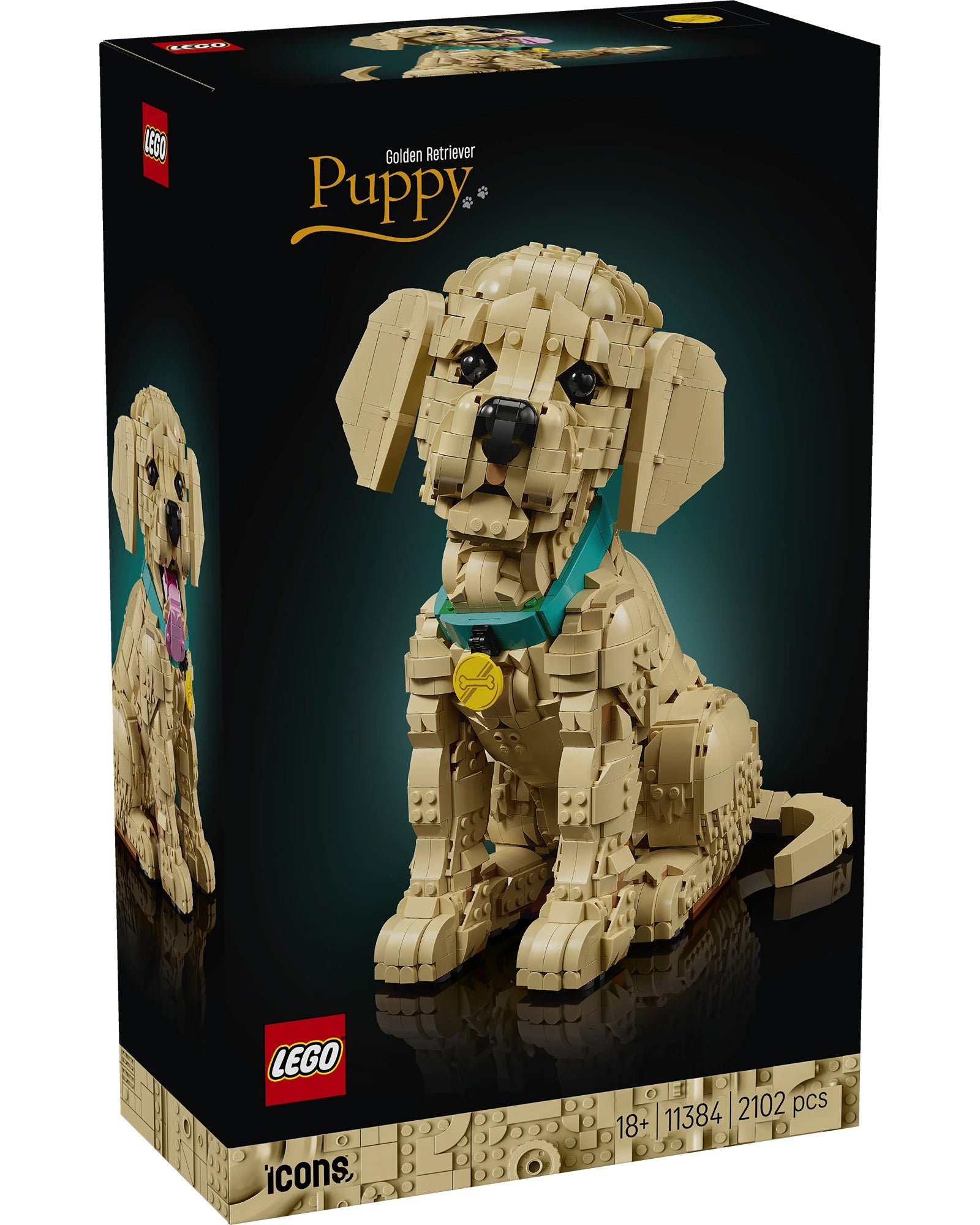 11384 Golden Retriever Puppy