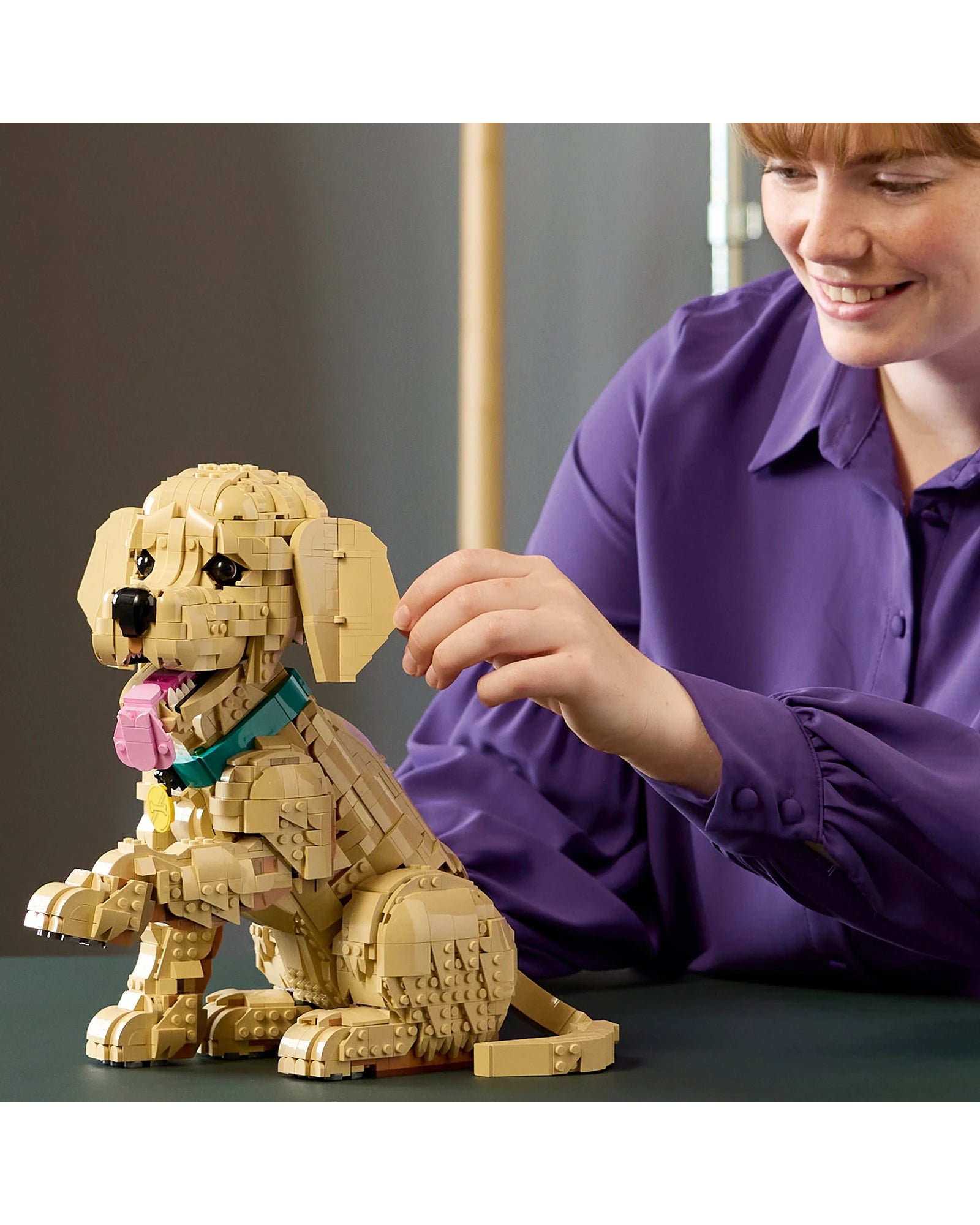 11384 Golden Retriever Puppy