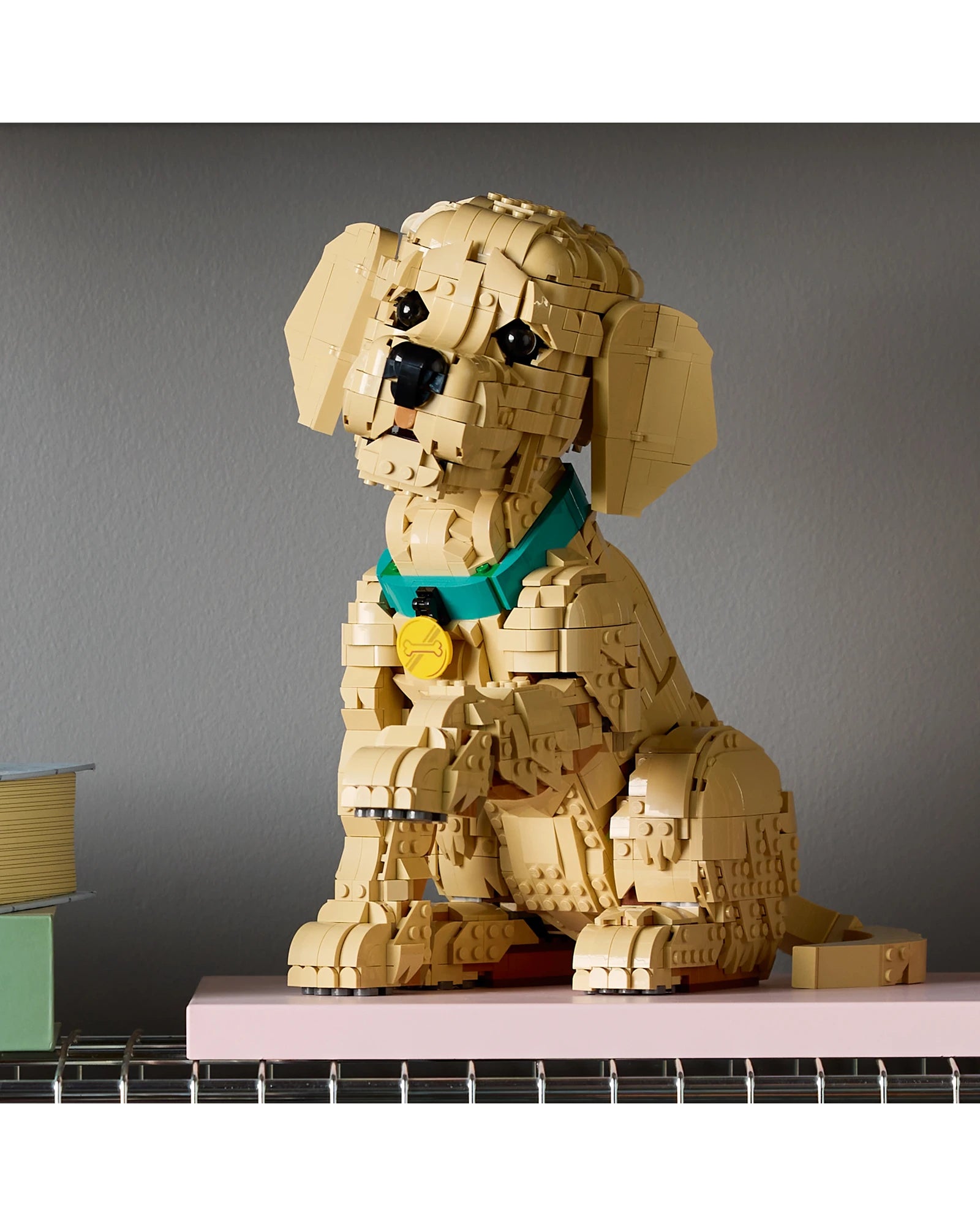 11384 Golden Retriever Puppy