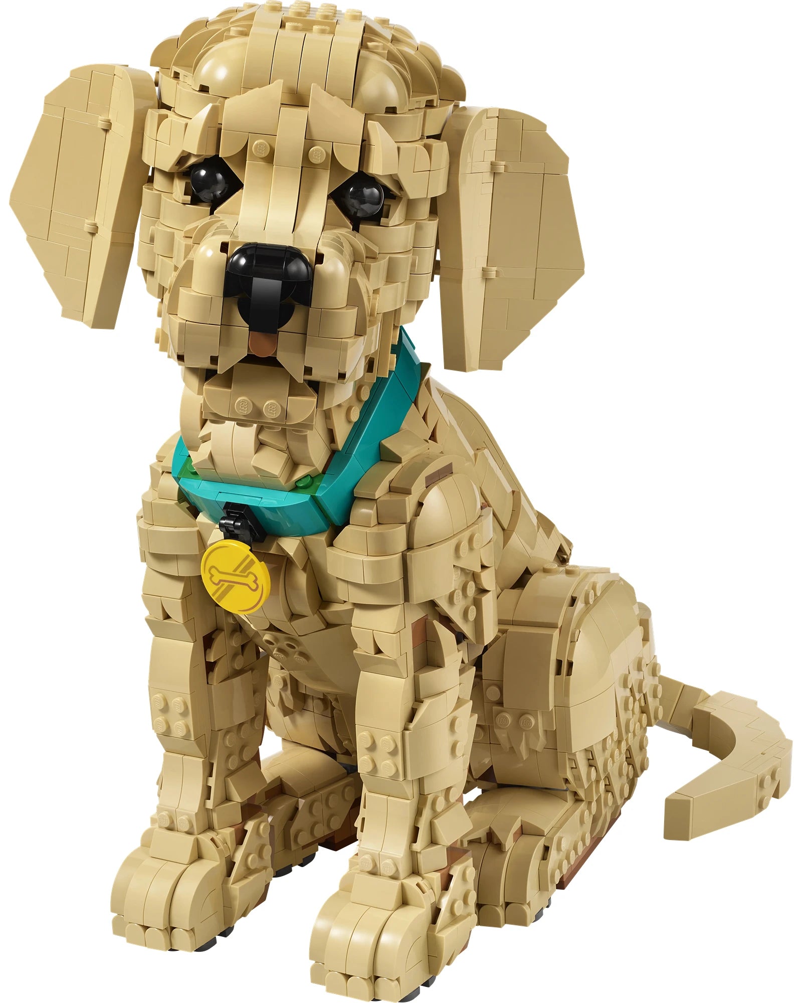 11384 Golden Retriever Puppy