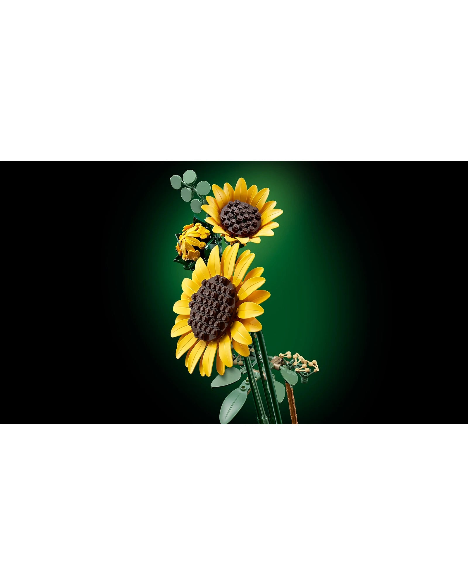 11502 Sunflower Bouquet