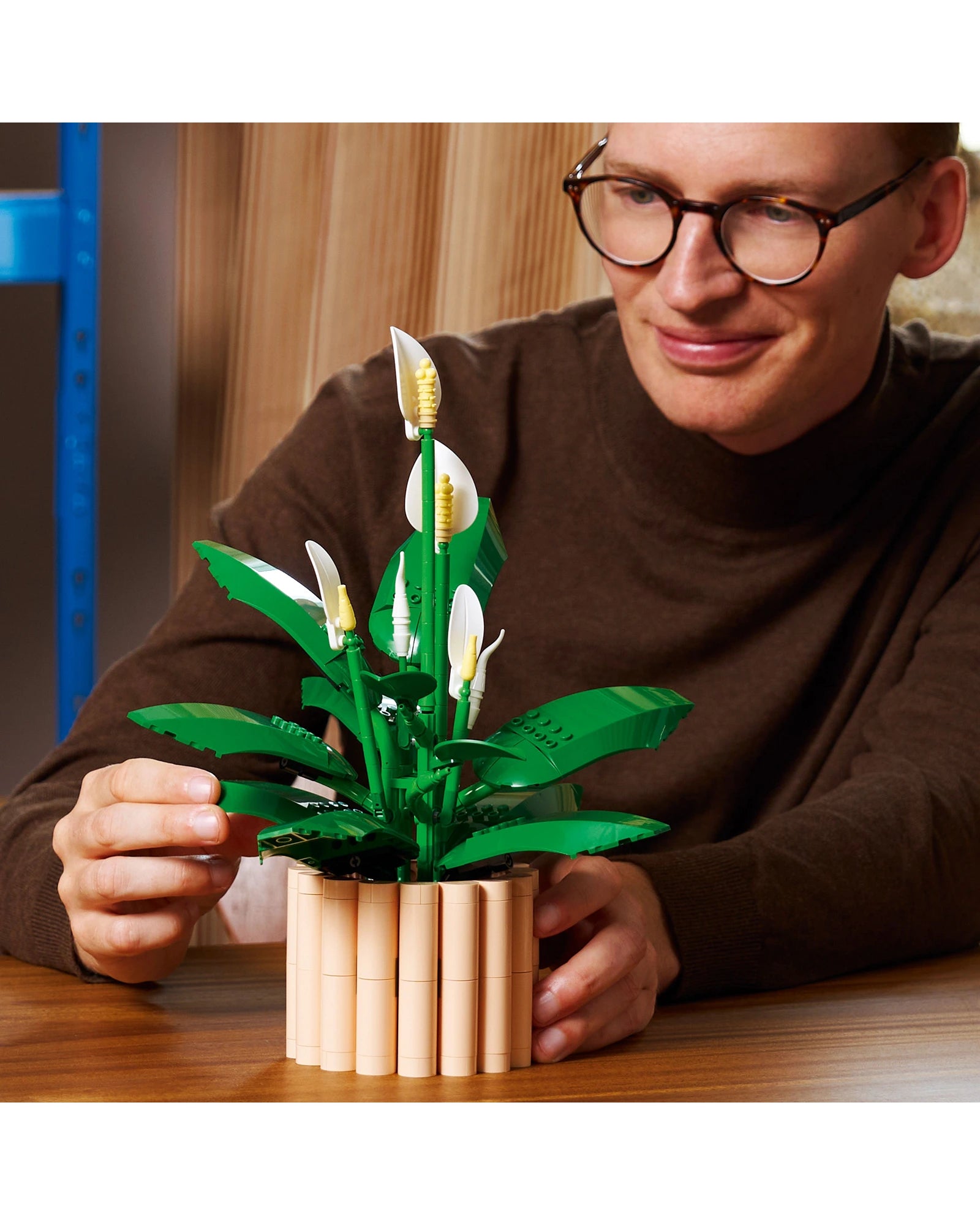11504 Peace Lily