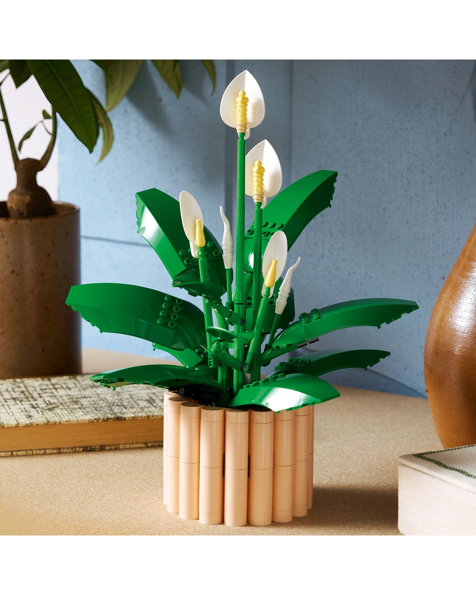 11504 Peace Lily