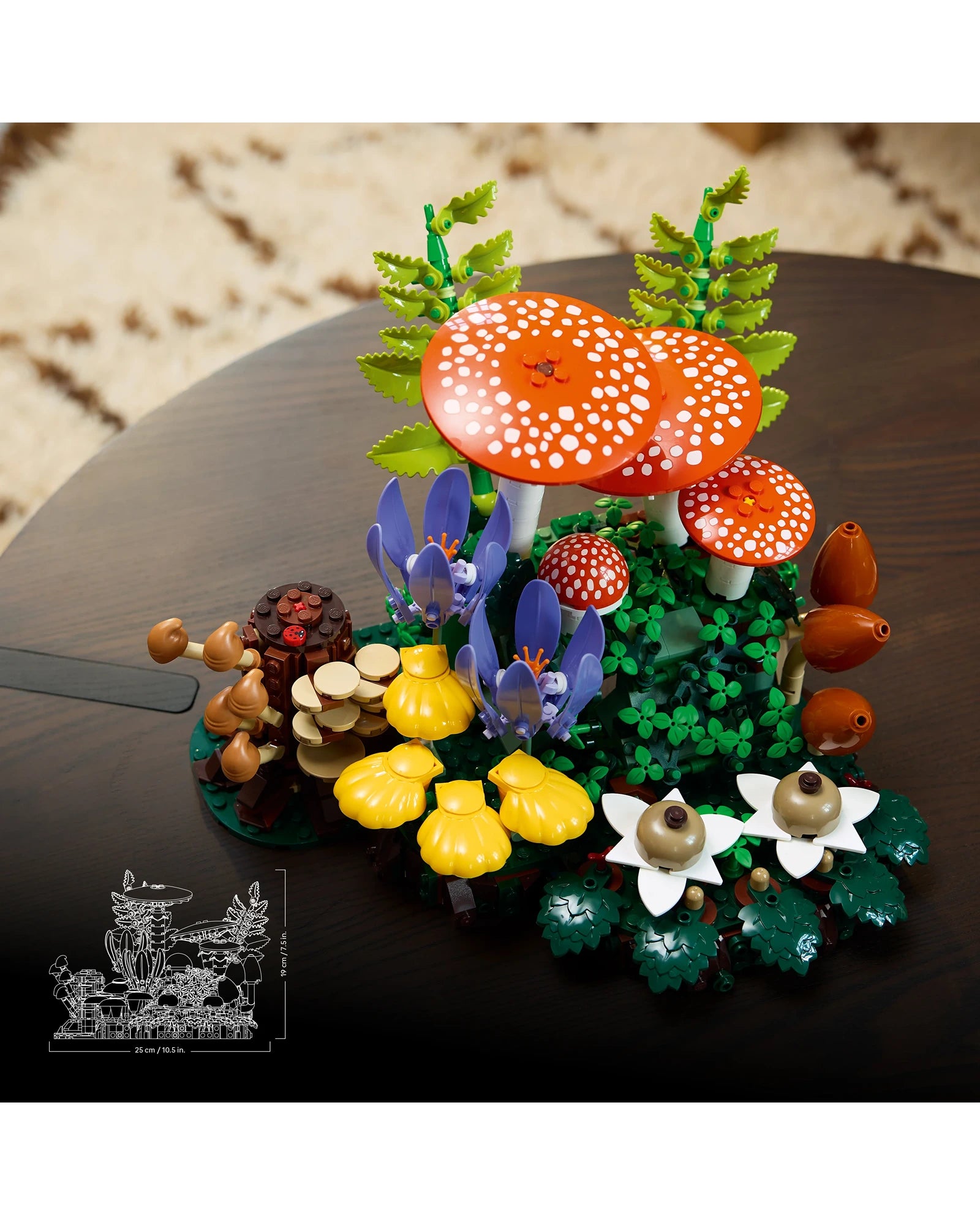 11505 Woodland Mushrooms