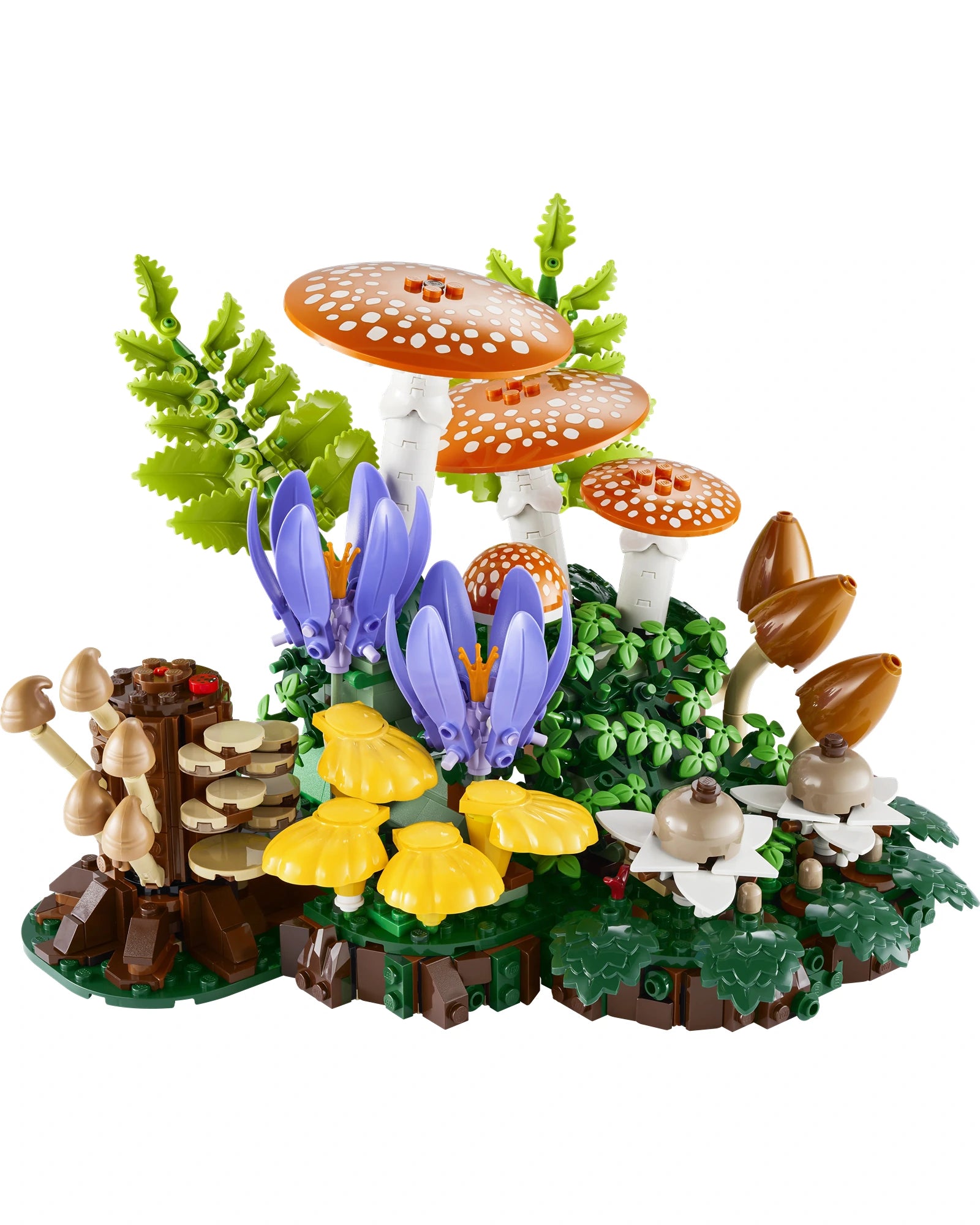 11505 Woodland Mushrooms