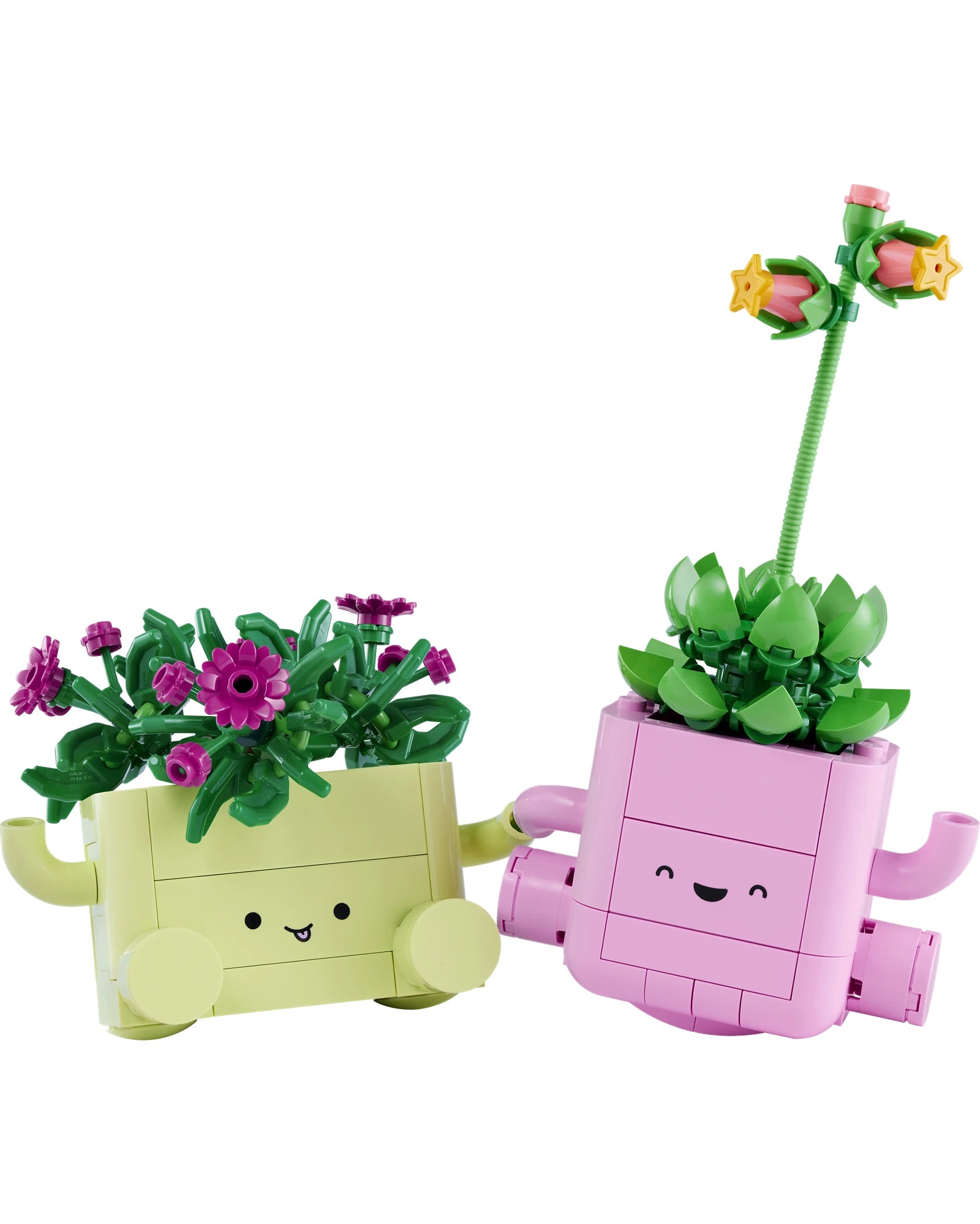 11506 Rocking Plants