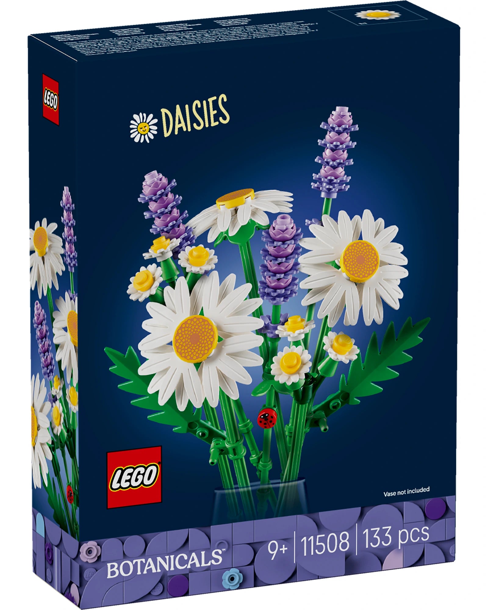 11508 Daisies