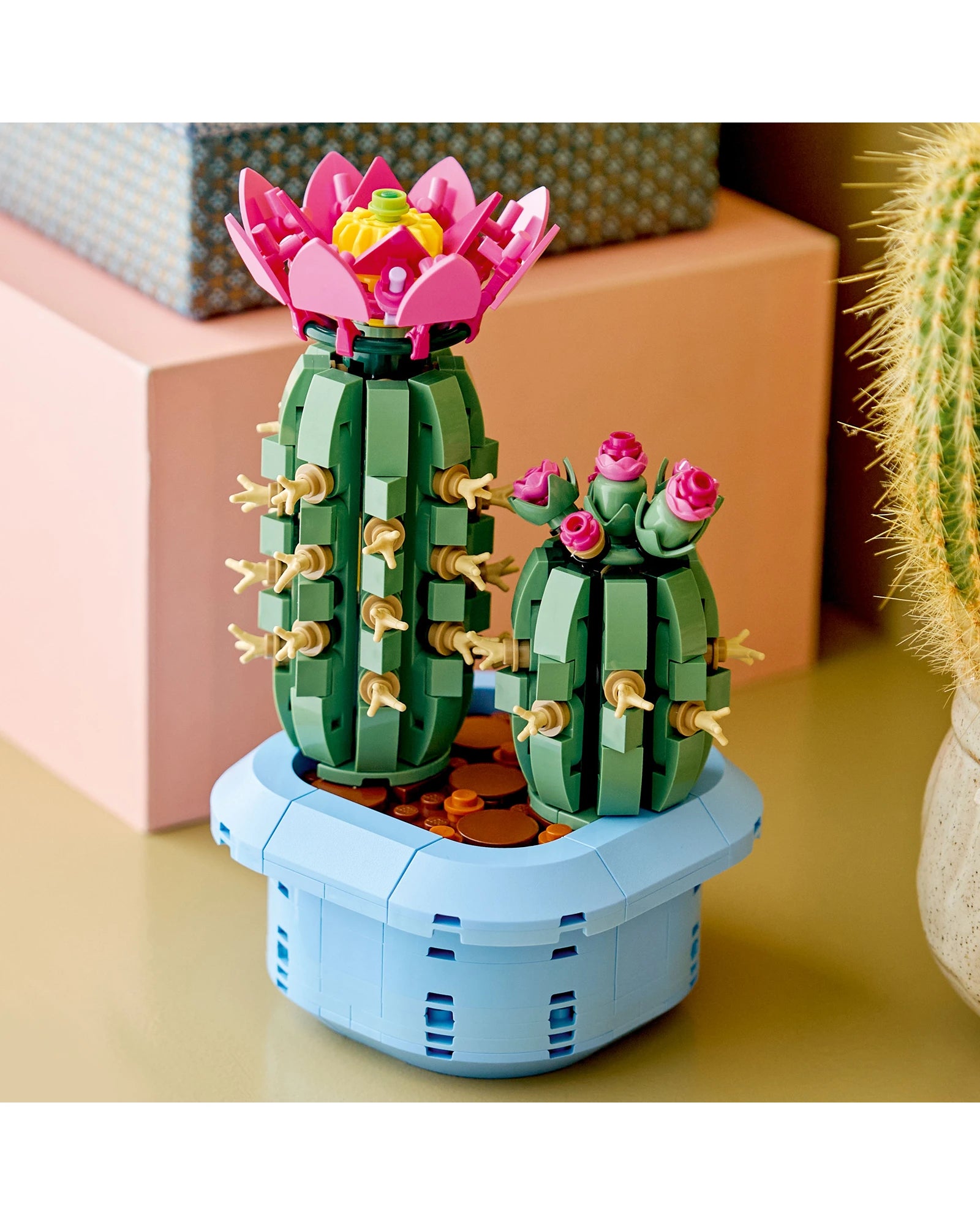 11509 Flowering Cactus