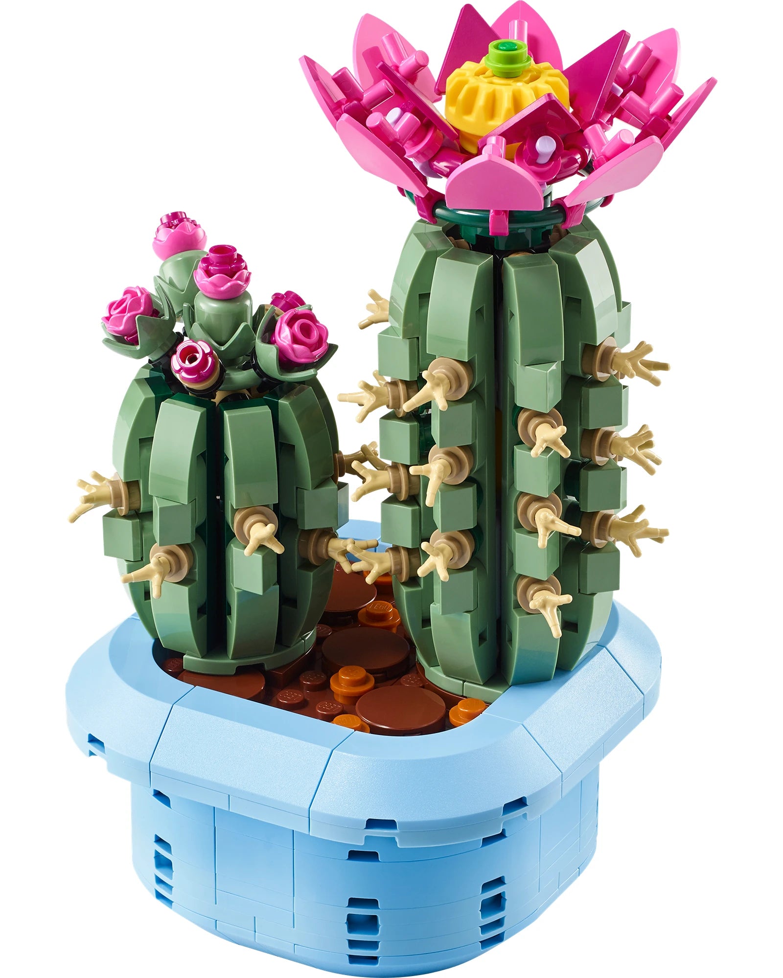 11509 Flowering Cactus