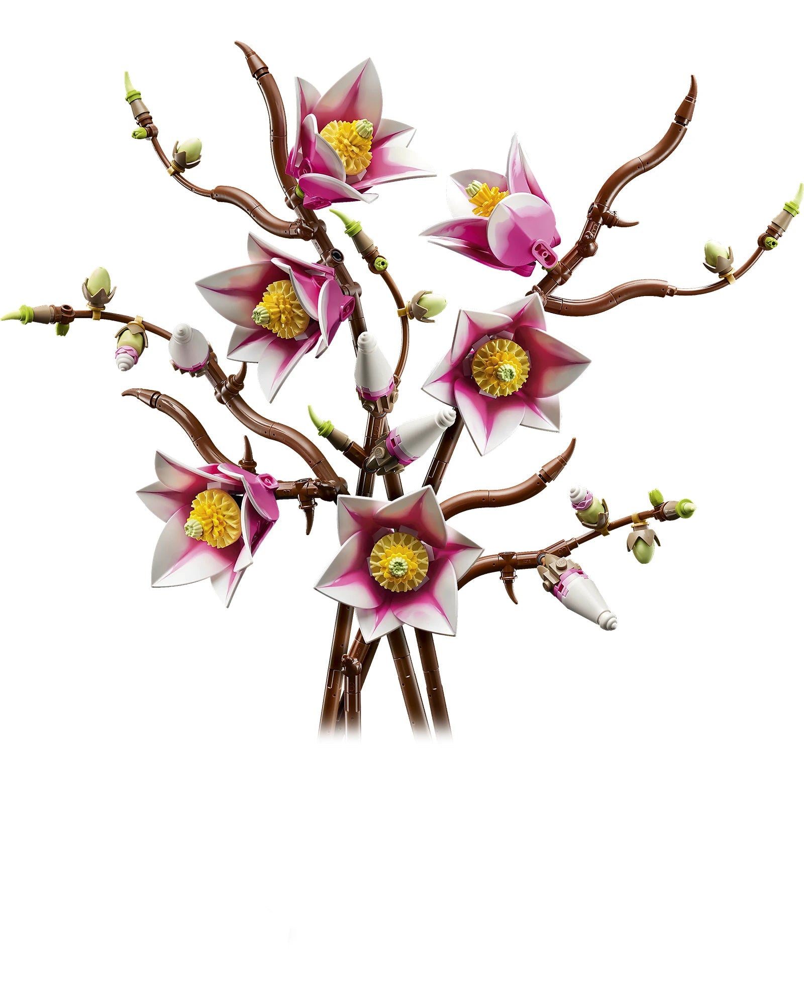 11510 Magnolia Branches