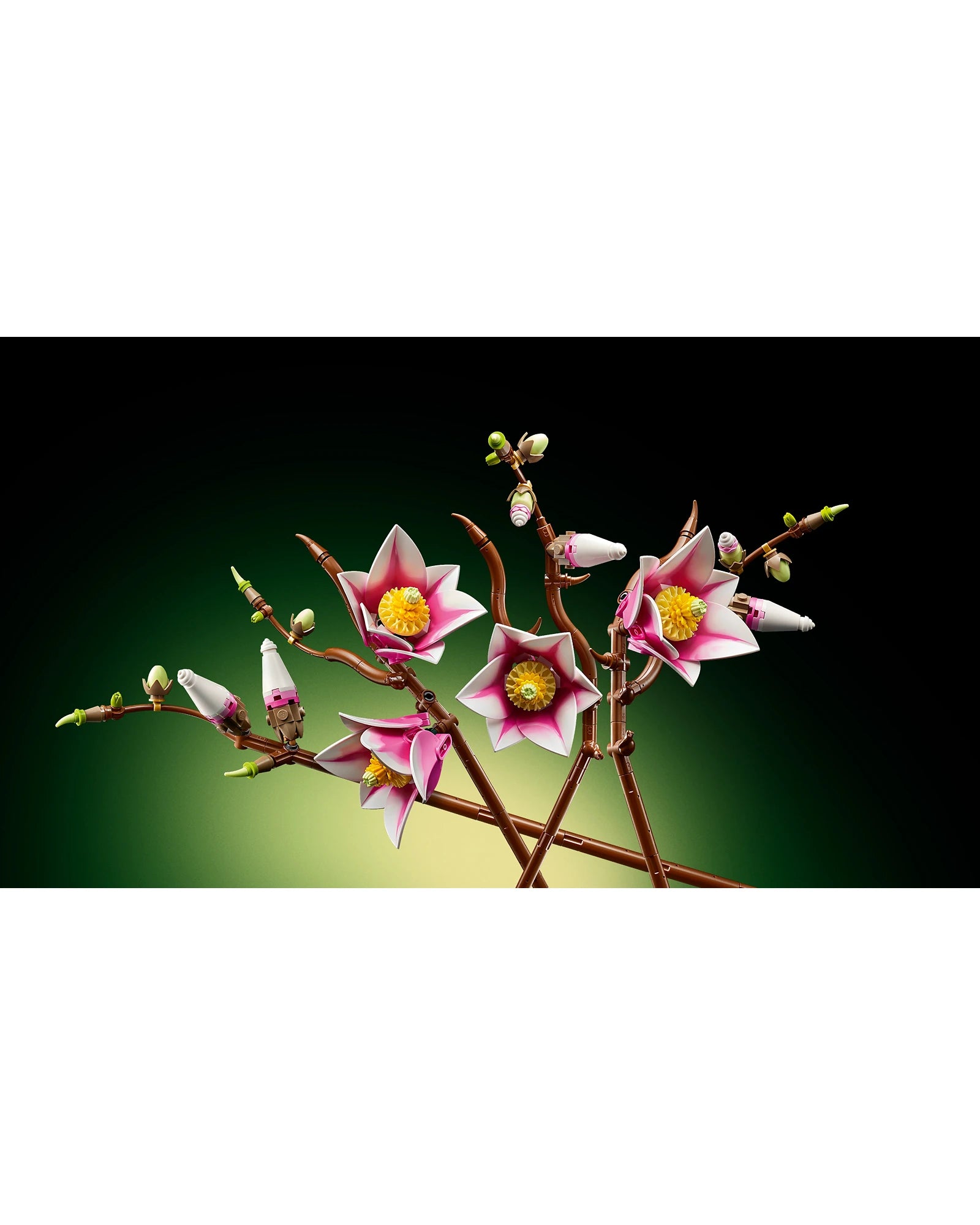 11510 Magnolia Branches