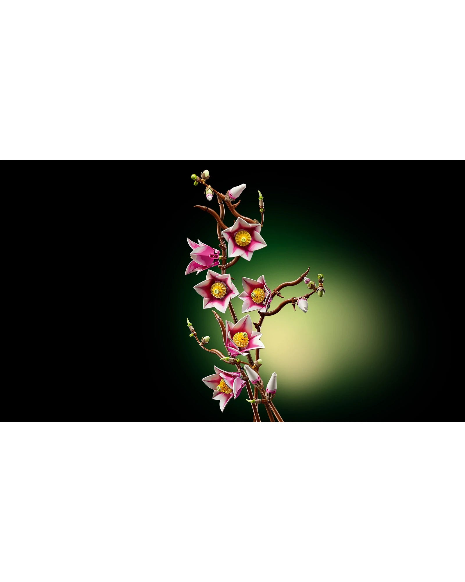 11510 Magnolia Branches