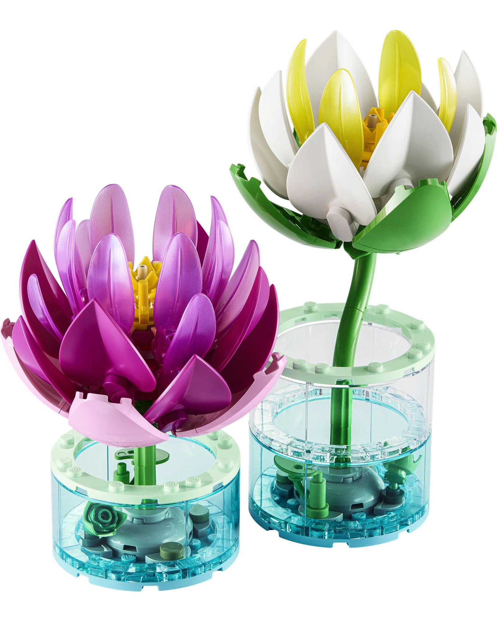 11511 Water Lilies