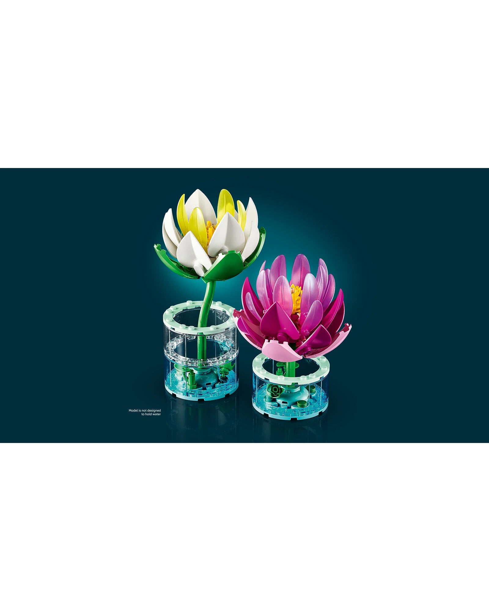 11511 Water Lilies