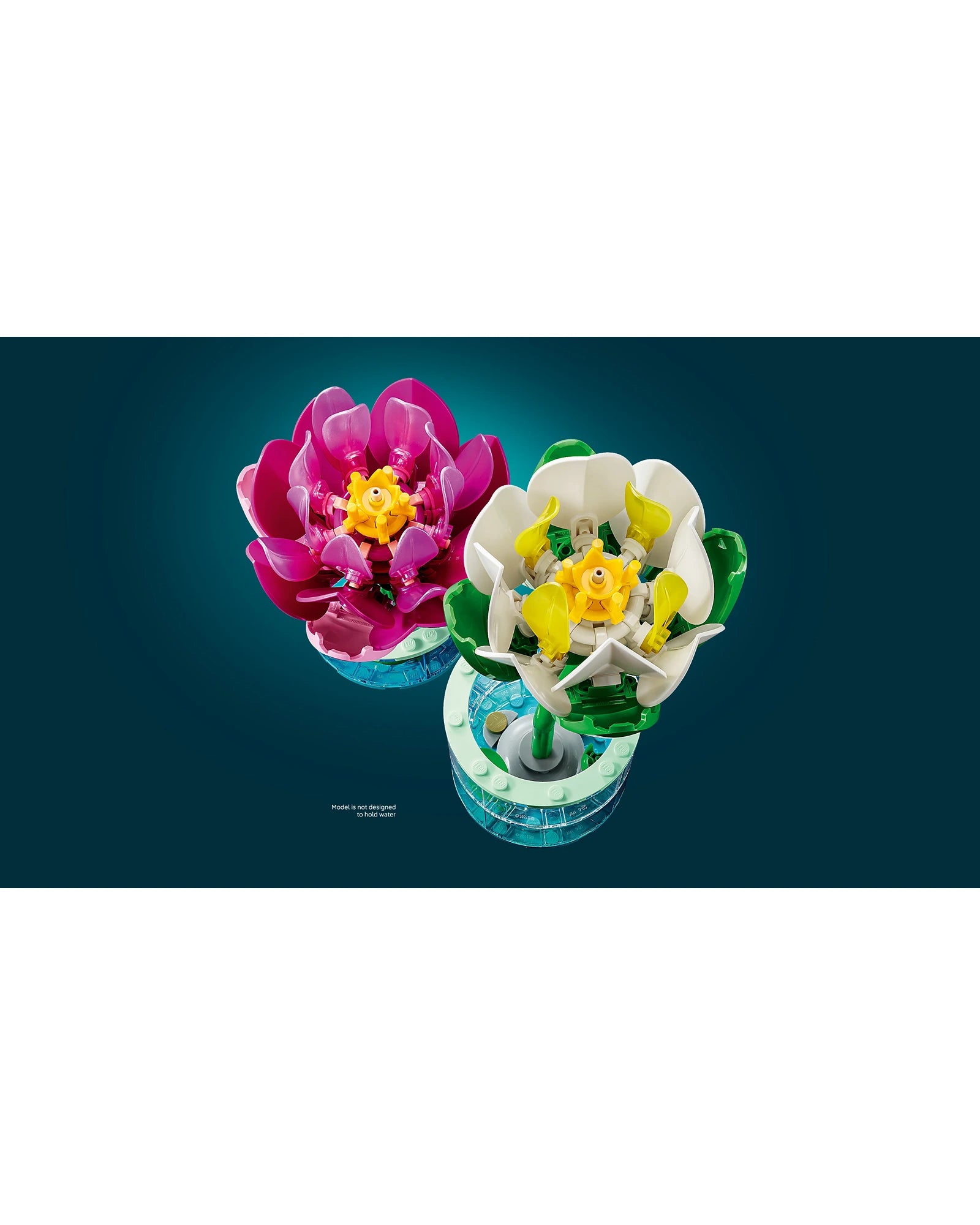 11511 Water Lilies