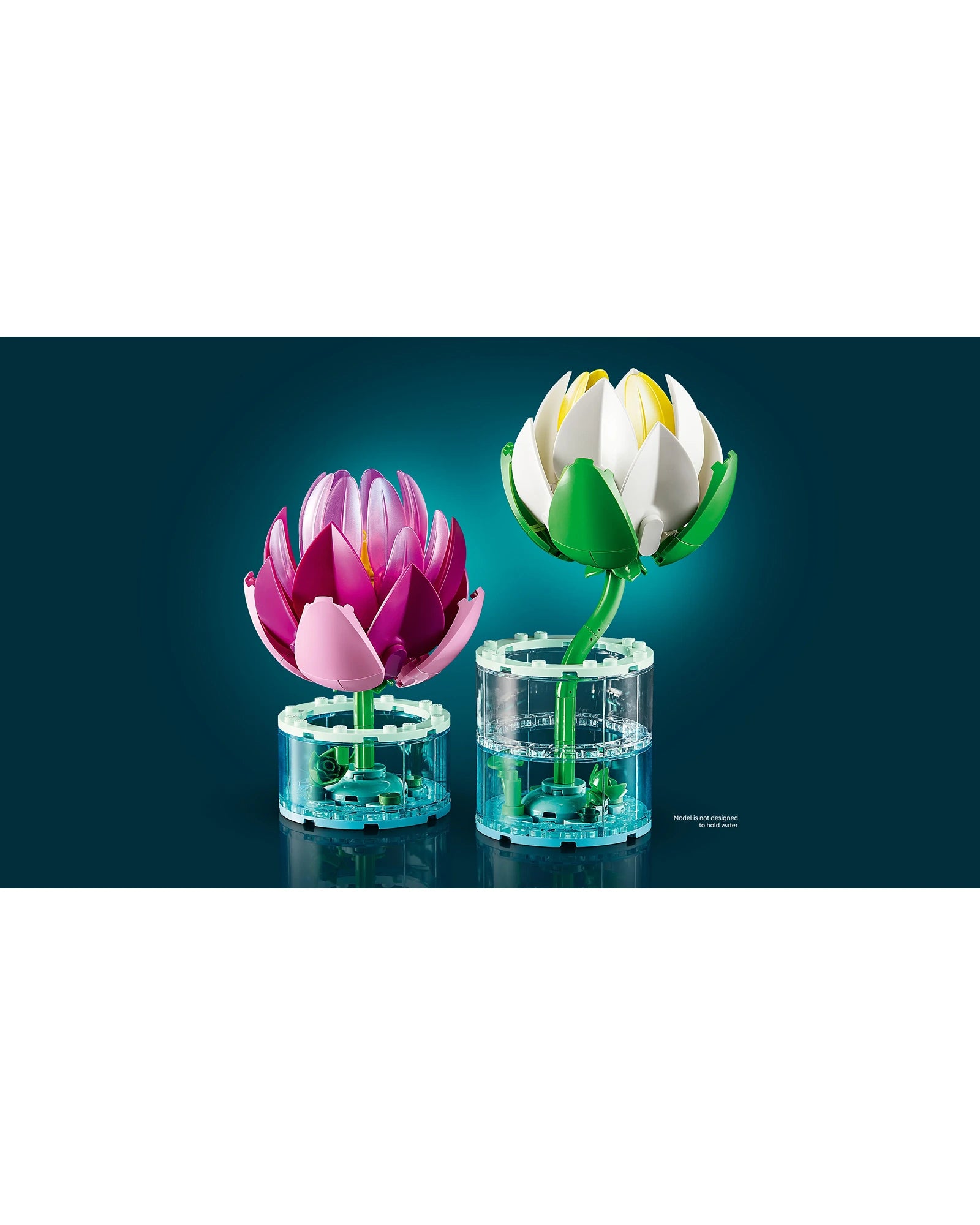 11511 Water Lilies