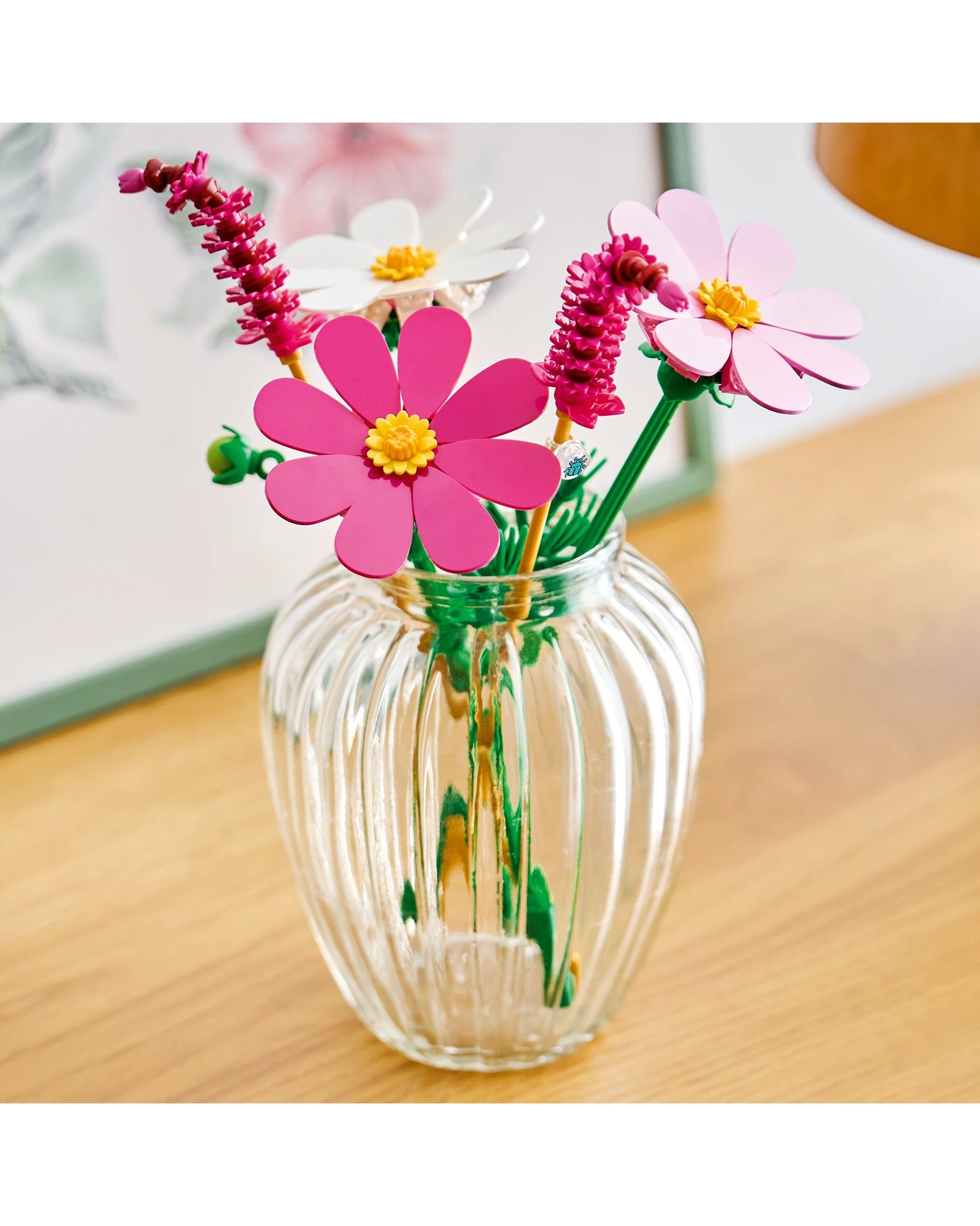 11514 Cosmos Flowers